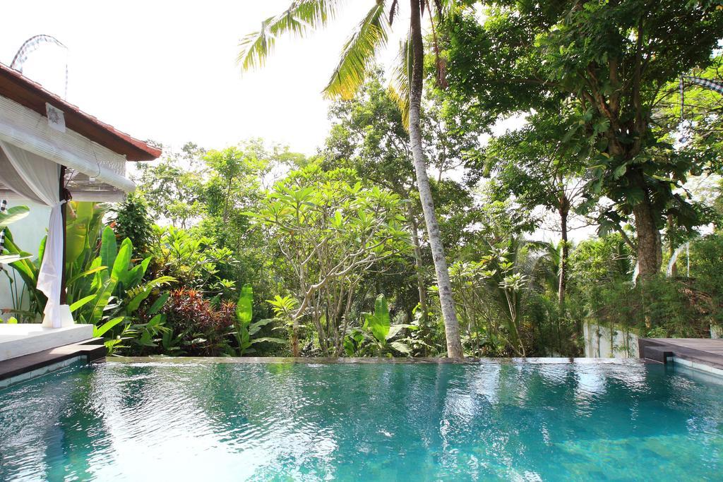 Shamballa Moon Ubud Quarto foto